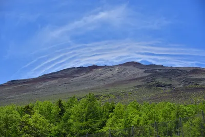 DSC_3609 (Large).JPG